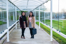 Art Design Students Twins